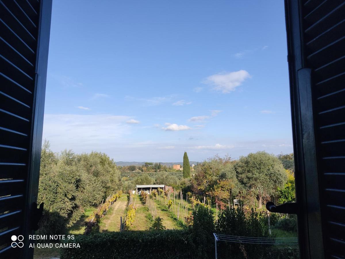 Holiday House I Colli Pisani Leilighet Capannoli Eksteriør bilde